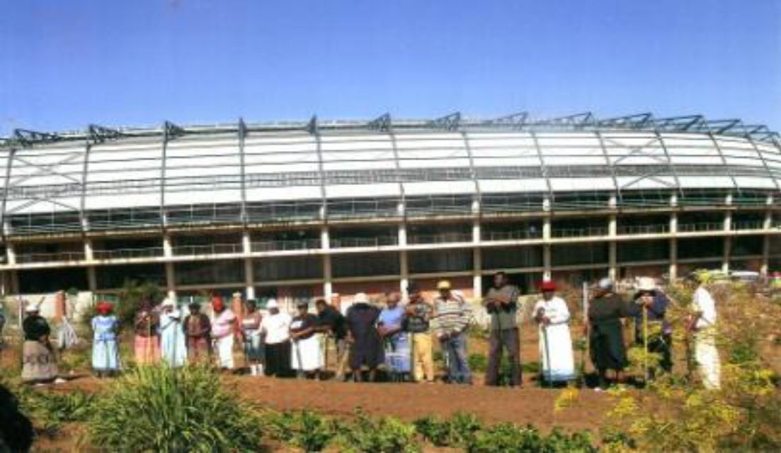 food gathering